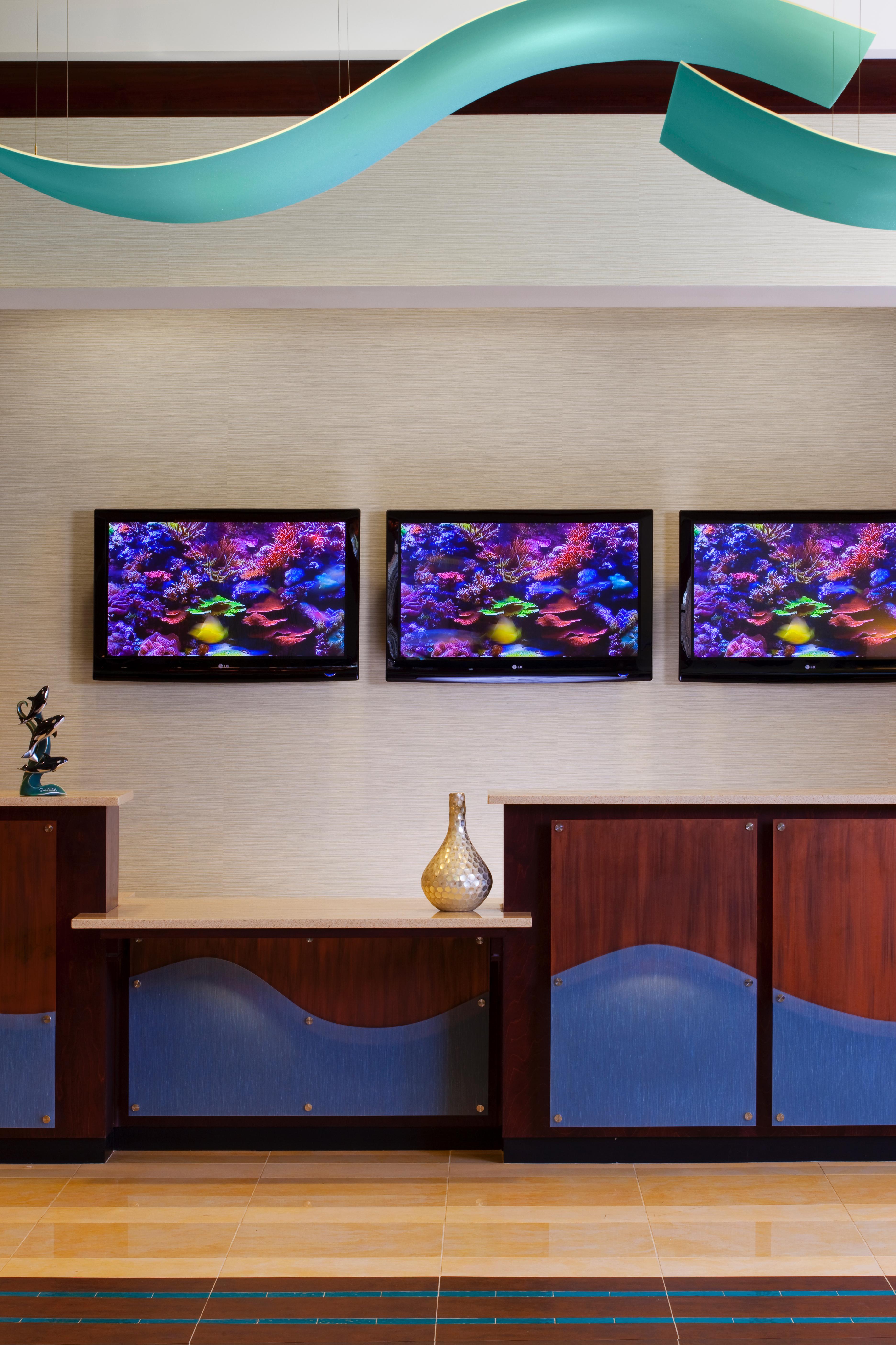 Fairfield Inn Suites By Marriott Orlando At Seaworld Williamsburg Eksteriør bilde