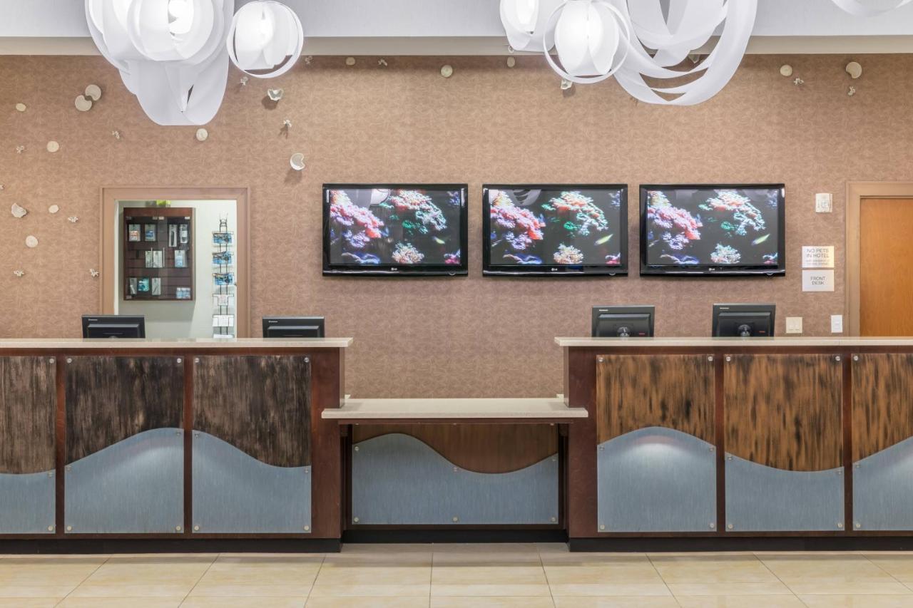 Fairfield Inn Suites By Marriott Orlando At Seaworld Williamsburg Eksteriør bilde